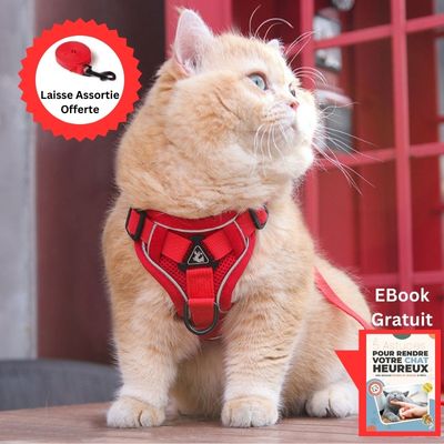 EXPEDICAT™­ | HARNAIS POUR CHAT - Chat-ons