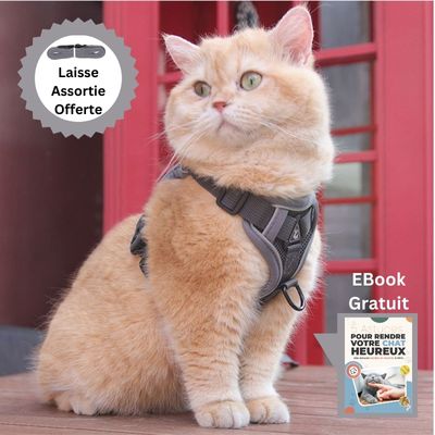 EXPEDICAT™­ | HARNAIS POUR CHAT - Chat-ons