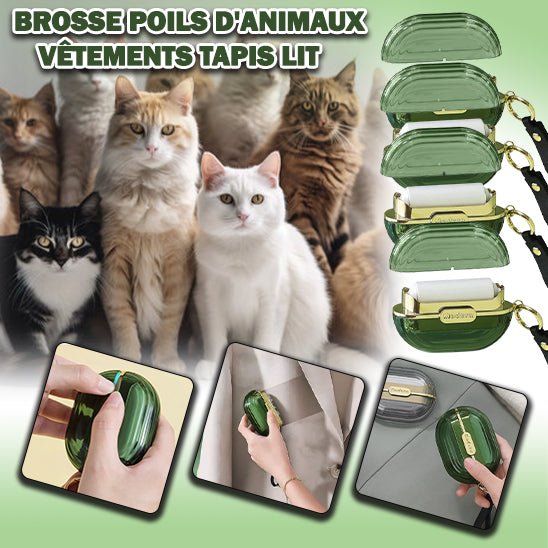 PoilBuster™ | Brosse Anti Poil Double - Chat-ons