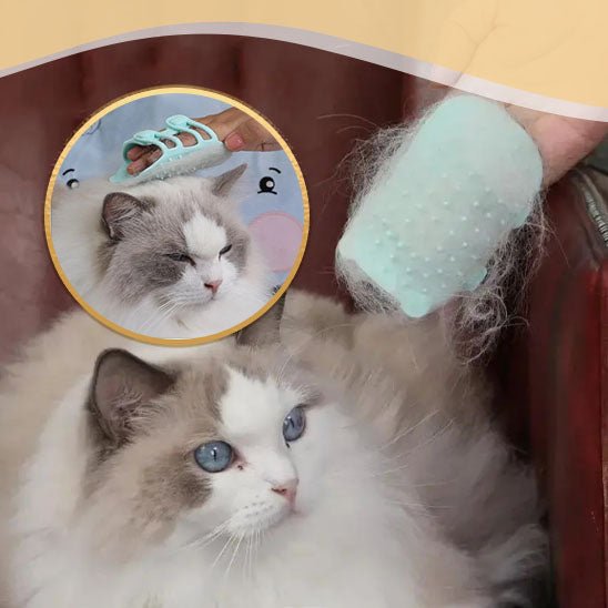 Grif'N'Groom™- Le peigne révolutionnaire! - Chat-ons